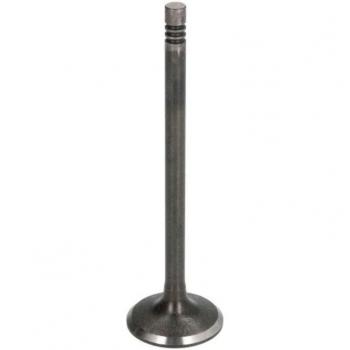 FRECCIA R6927/SNT Einlassventil