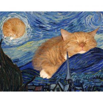 Ricamo a punto croce animale Notte stellata di Van Gogh - 20x30 cm