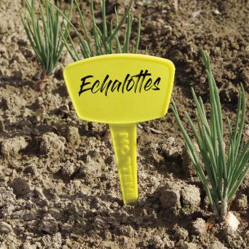 Nortene - 5 etichette da piantare Etichetta 35 - Giallo - 35cm