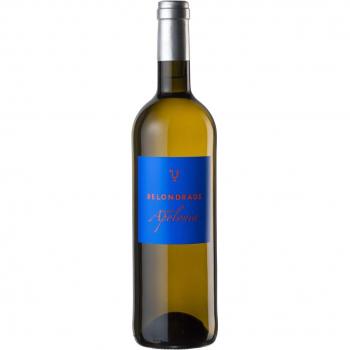 Quinta Apolonia 2022 V.T Castilla - León Belondrade 75 cl