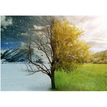 Broderie Diamant Arbre de Paysage 20X30CM