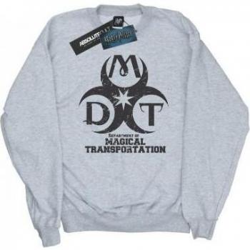 Felpa Harry Potter Dipartimento di Trasporti Magici Logo 12-13 grigio