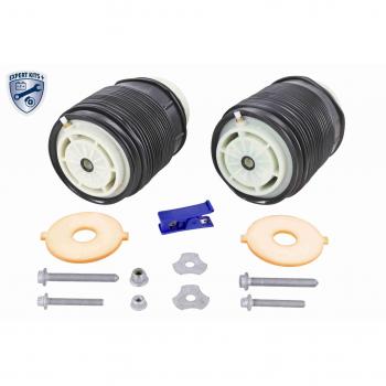 Muelle neumático para suspensión trasera Mercedes-Benz VEMO V30-50-20003