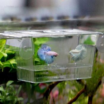 Caja de Aislamiento para Cría de Peces