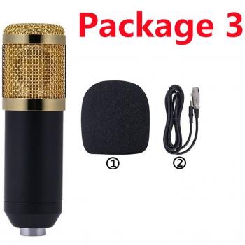BM800 Microphone