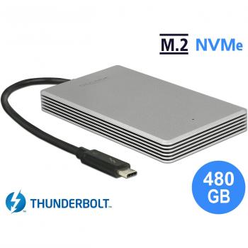 DeLock Thunderbolt 3 Portable SSD 480 GB – M.2 PCIe NVMe