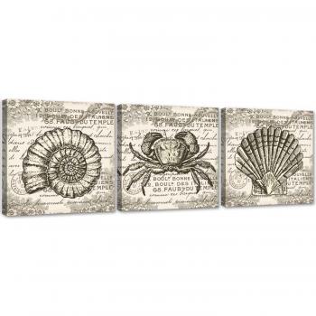 Ensemble de trois toiles Coquillages vintage 90x30 gris