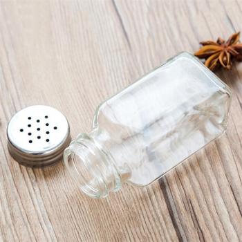 Stainless Steel and Glass Spice Shaker