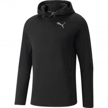 Sweatshirt à capuche Puma Evostripe avec petit logo noir
