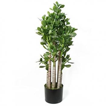 Evergreen Jade 75 cm Artificial Leaf Plant