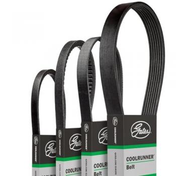 GATES CB0005 Riemen
