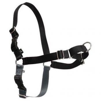 Arnés Negro para Paseo Cómodo de Perros