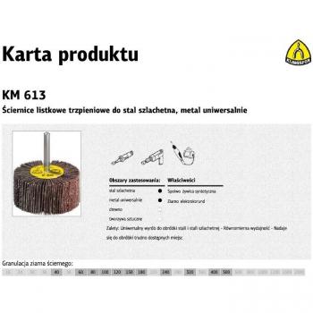 K. esponja abrasiva lt 25*20*6 p 40 km613