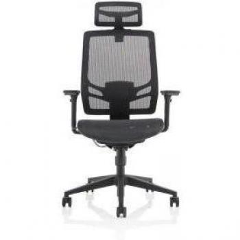 Ergo Twist Ergonomic Mesh Chair