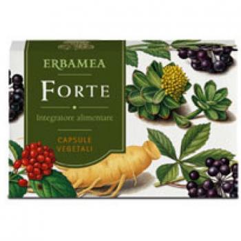 FORTE 24 Cps EBM