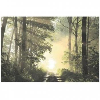 Poster Forêt Élégant en Plexiglas