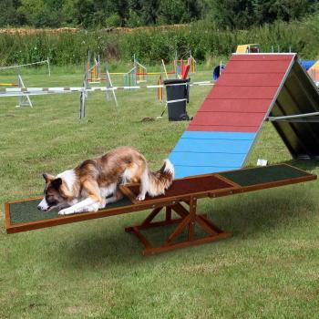 Kong Pet Solutions Wooden See-Saw Pet Obedience Training Toy