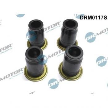 Gasket, injector holder DRM0117S