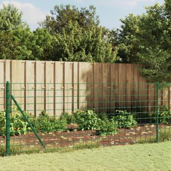 Clôture en Treillis Métallique Vert, Acier Galvanisé, PVC, 1×10 m