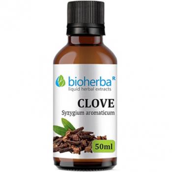 Syzygium aromaticum Tropfen 50 ml