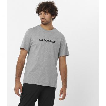 T-shirt Salomon Logo Performance Uomo manica corta grigia - XL
