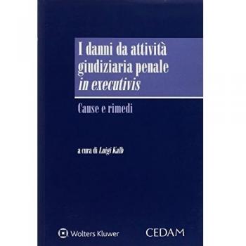 Danni da attività giudiziaria penale in executivis. Cause e rimedi