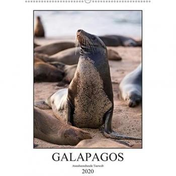 Galapagos - Atemberaubende Tierwelt