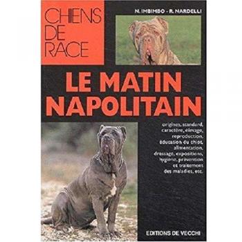 Le mâtin napolitain