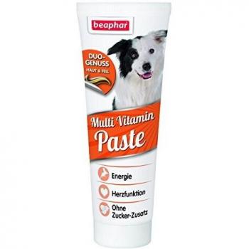 Pâte multivitamines et biotine Beaphar pour chien 2x250g
