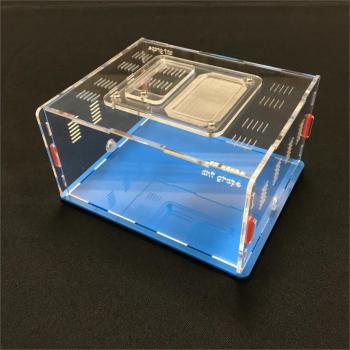 Active Area Ant Farm L Size