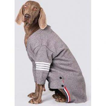 Manteau en tricot pour Labrador et Golden Retriever