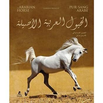 The Arabian Horse