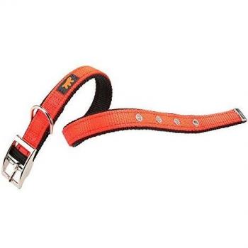 Collier pour Chien DUAL CF15/35 – 27÷35 cm – B: 15 mm – Orange