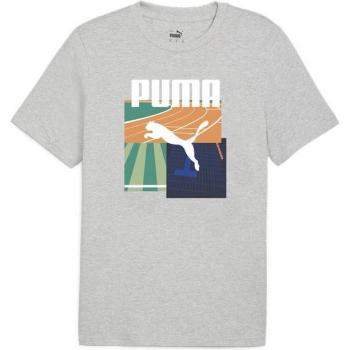 Puma Herren T-Shirt „Sommer Grafik“ – Grau, Größe S