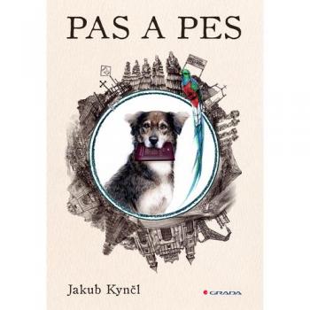 Pas a pes