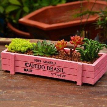 Boîte Bois Succulente Rétro
