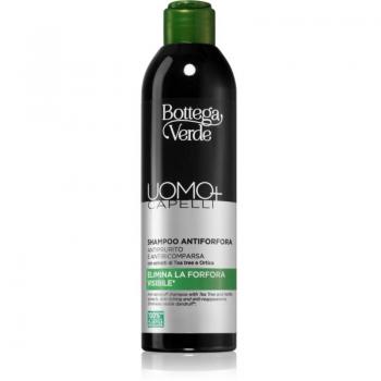 Bottega Verde Man+ shampoo antiforfora cuoio capelluto prurito 250 ml