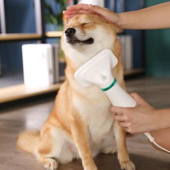 Soplador de aseo para perros con cepillo