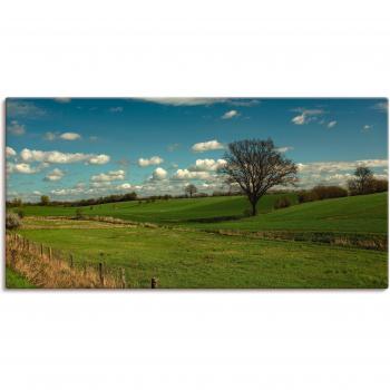 Wandaufkleber ARTLAND Natur pur, grün, B:100cm H:50cm, als Canvas-Bild
