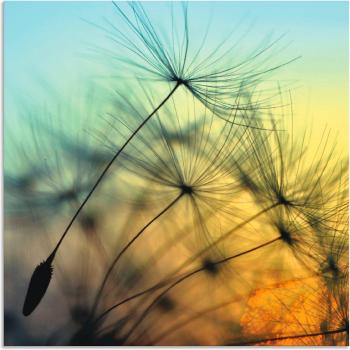 Artland Wandbild »Goldene Abendstimmung und Pusteblumen«, Blumen, (1 St.), als Alubild, Outdoorbild, Leinwandbild, Poster, Wandaufkleber