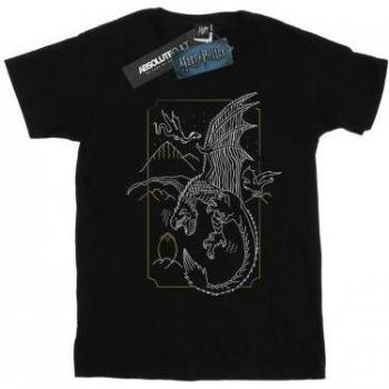 T-Shirt Long Sleeve Harry Potter – Motivo Drago (Bambine 9-11)
