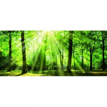 Bönninghoff Leinwandbild »Sonnenstrahl«, (1 St.)