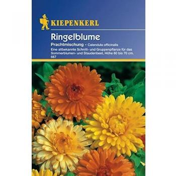 Saatgut Calendula Prachtmischung