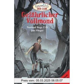 Gefährlicher Vollmond. Vampirnebel; Die Ruine der Raben. Zwei Gruselromane in e. Bd. | Nortrud Boge-Erli | Buch