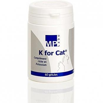 K for Cat - Chat - Riche en Potassium, Hypokaliémie