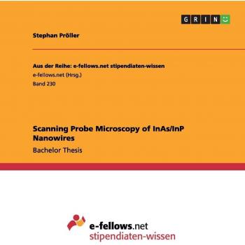 Scanning Probe Microscopy of InAs/InP Nanowires