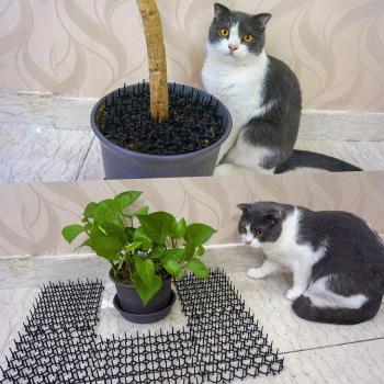 Bandes de protection horticole pour chats