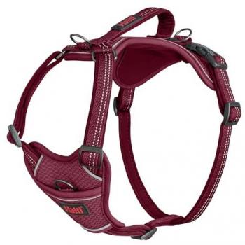 Halti Anatomie Hundegeschirr M - Magenta