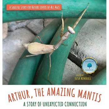 Arthur The Amazing Mantis