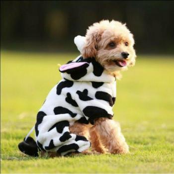 Winter Cow Dog Pajama
